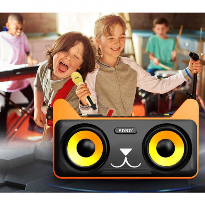 mic bluetooth sdrd